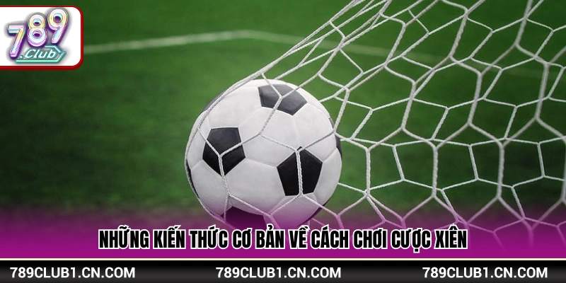 Quy tắc đánh cược xiên cho người mới